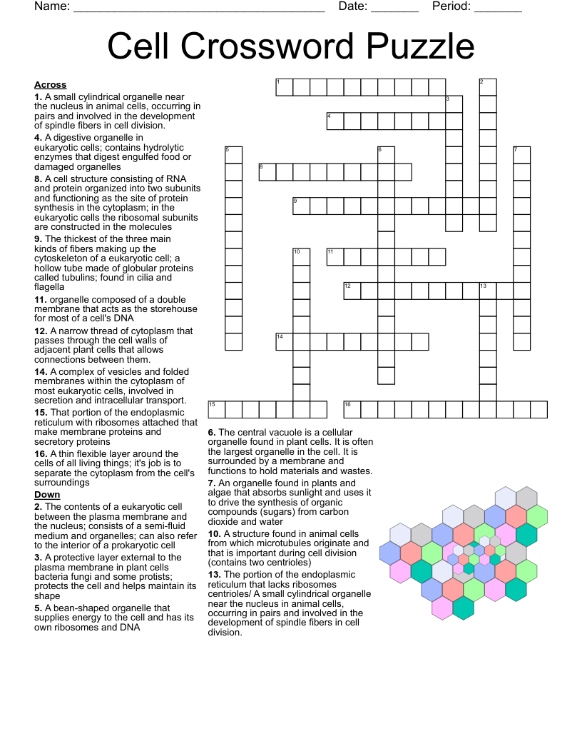 Biology Crossword Puzzle WordMint