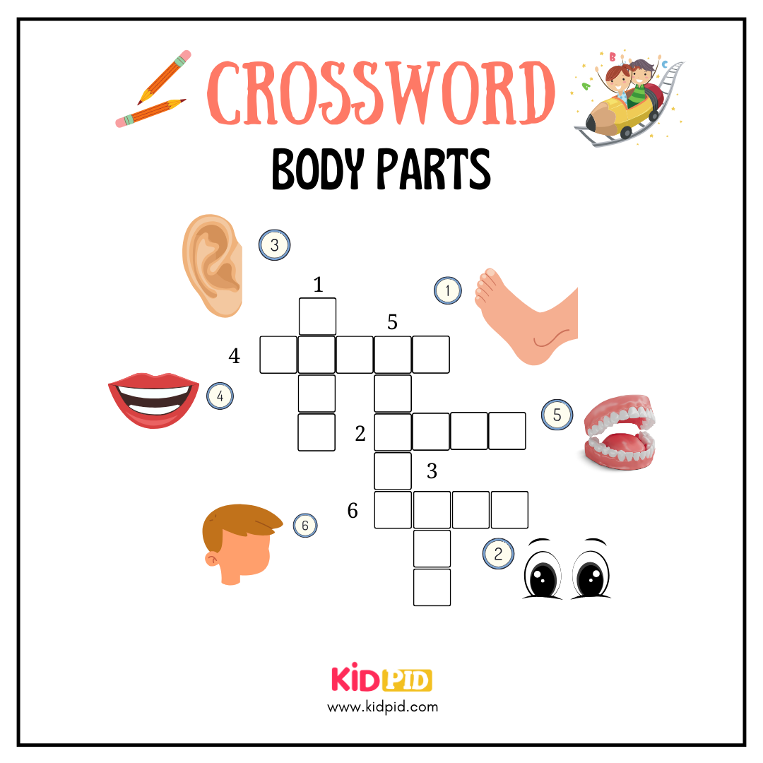 body parts crosswords worksheet for grade 1 kidpid