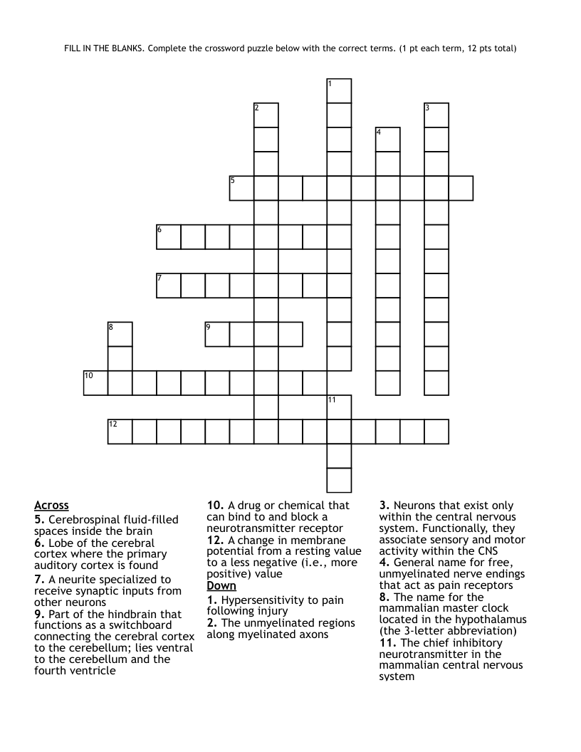 Fill in Crossword Puzzles Printable
