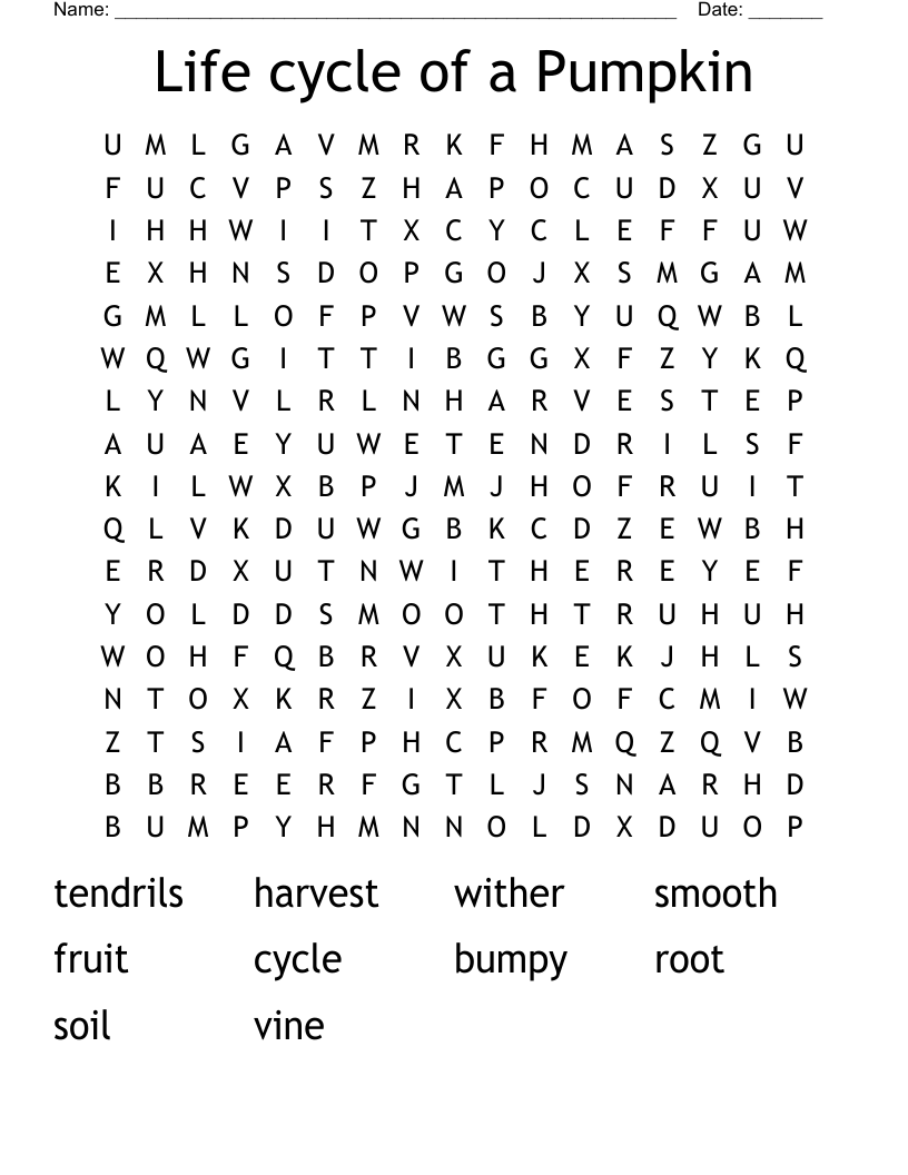 Life Cycle Of A Pumpkin Word Search WordMint