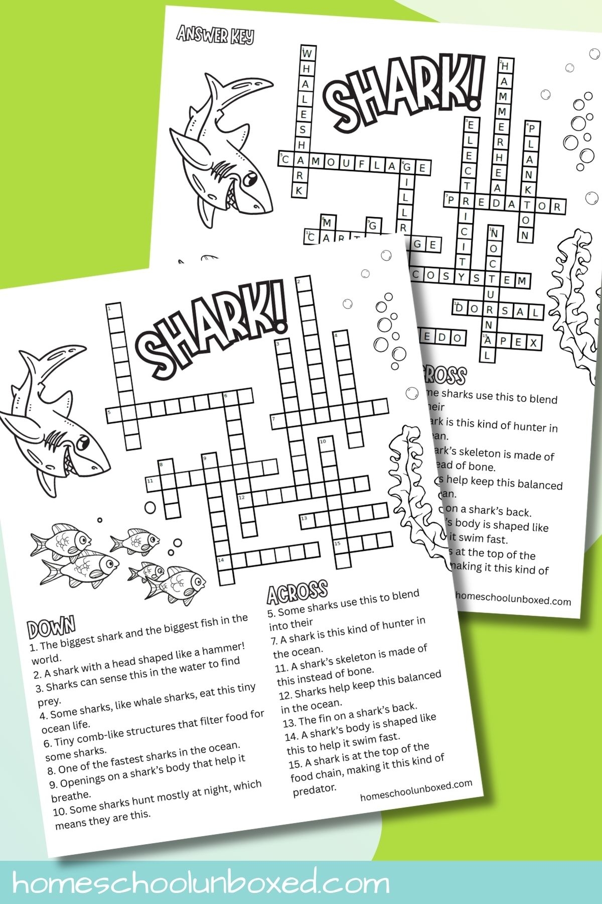 Free Printable Crossword Puzzles for Beginners