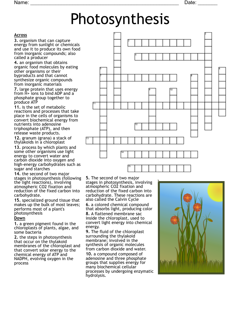 The Medium Crossword Puzzle WordMint